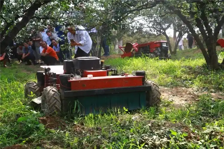 【聚焦花椒大会】2019年花椒全程机械化演示会召开