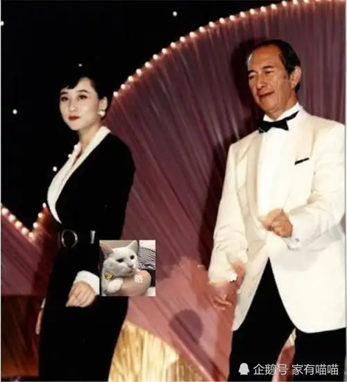 揭秘赌王和利智的爱情:深爱着赌王的利智,最后为何被迫离开?