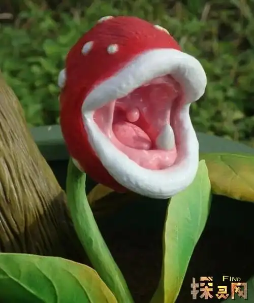 世界上最大的花大王花吃人图片超恐怖散发腐臭2