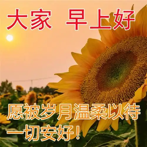 问候大家早上好的早安祝福语图片,最新早晨好问候祝福语