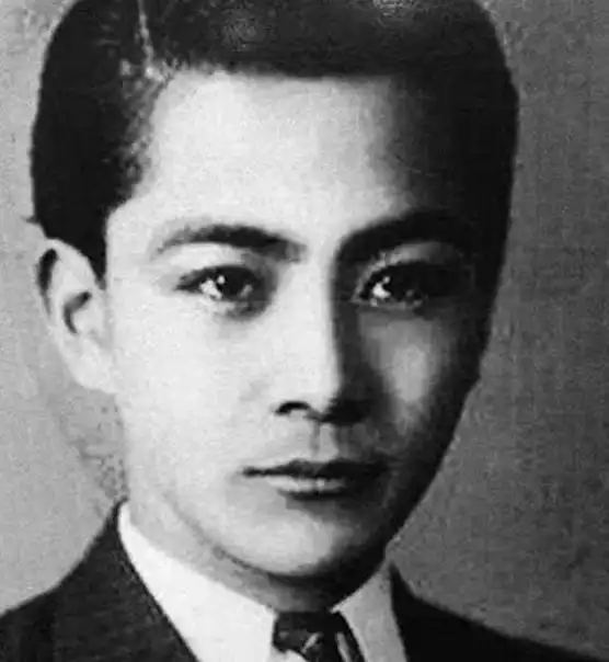 汪精卫是否践行了自己的"曲线救国"政策?