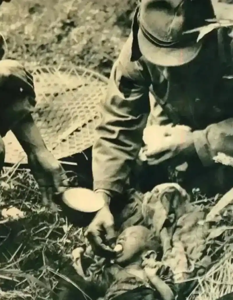 日本人有多虚伪?