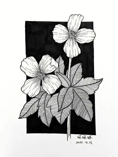 黑白装饰画花卉