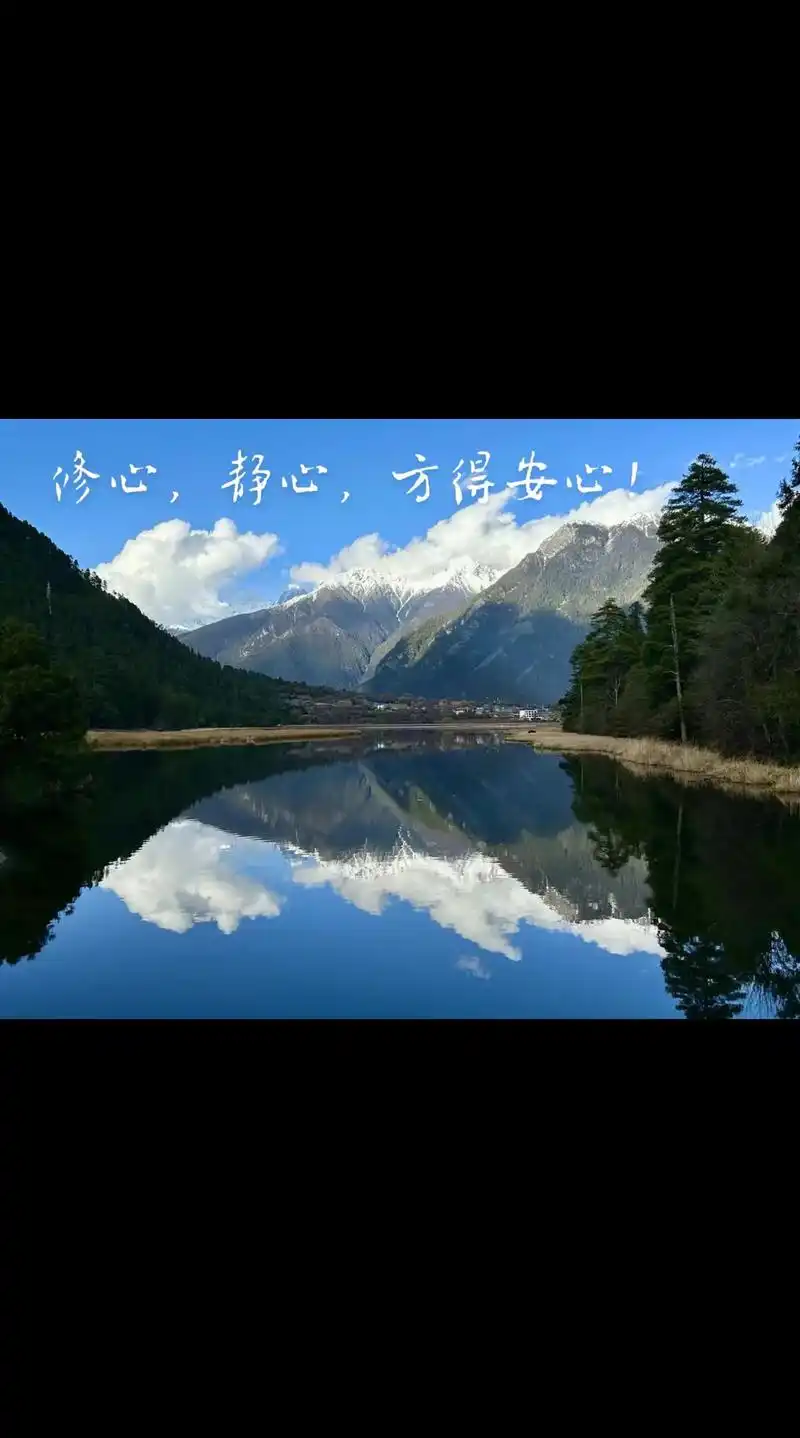 修心,静心,方得安心!