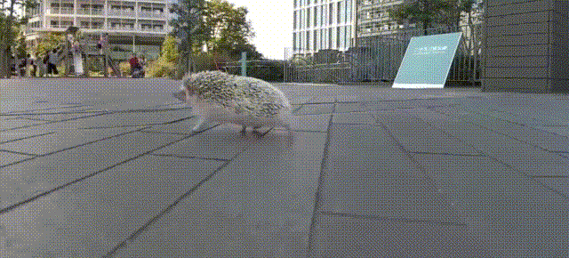 搞笑动物gif有趣的gif搞笑gif笑死人gif厉害了gif