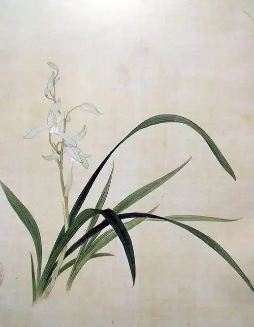 甄迹网 自学工笔画怎样起步入门