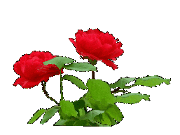 美图秀秀fs--教程fs--素材音画附件图片素材ps--教程制作教程本站是