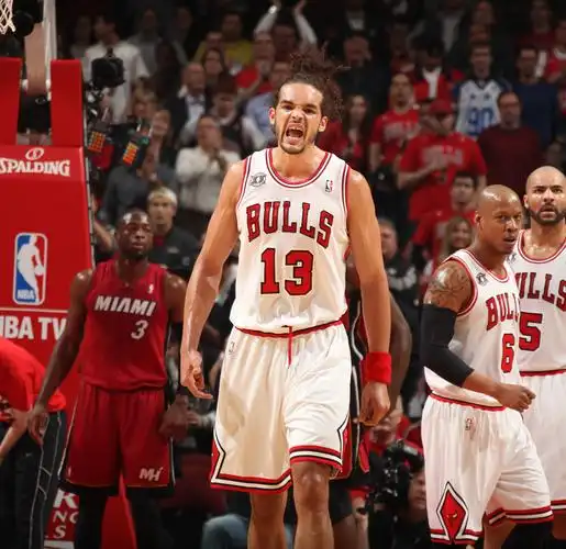 詹皇挺身而出热火85-75公牛_高清图集_新浪网