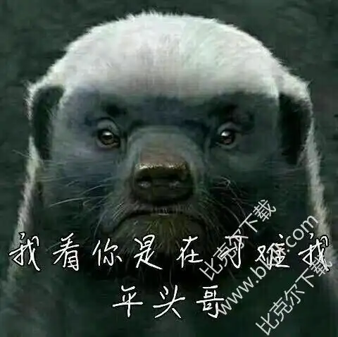 平头哥蜜獾表情包 21枚高清版 完整版