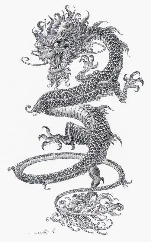 手机无水印壁纸中国龙