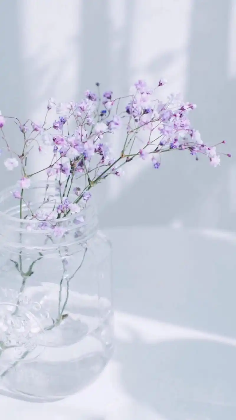 个性非主流创意风格iphone手机壁纸图片