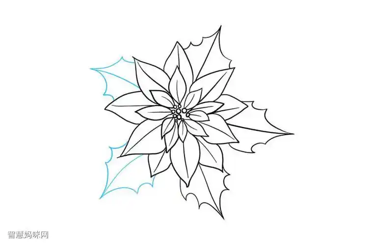 一品红简笔画怎么画