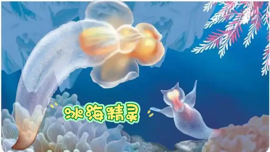 冰海精灵,是美丽与神秘并存的极地生物
