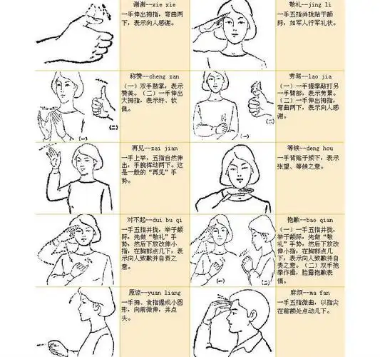 转解析多种手势语言无声的交流