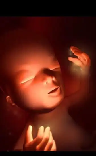 第12周,初具人形.孕早期在本周即将结束了,这时的宝宝身长可达到6.