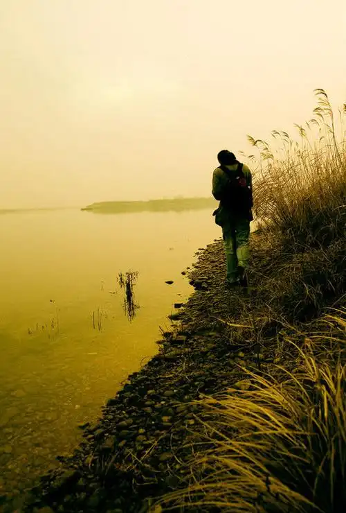 我需要一张男人离开的图片!要背影!落寞一点的!分辨率尽量高一些!谢谢