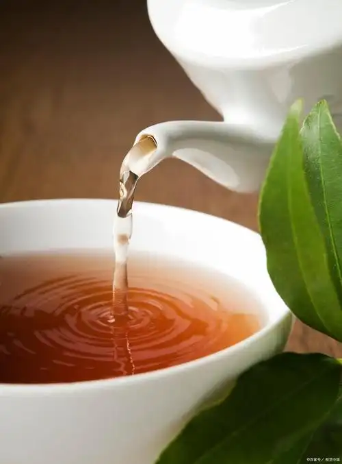 常见的萃取茶及其特点