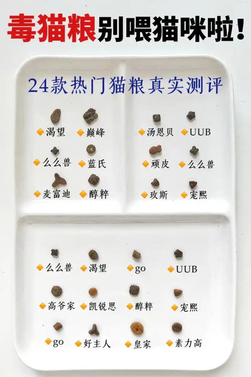 毒猫粮大曝光,你家猫粮吃对了吗?#王者 #萌宠 #猫粮 #抖 - 抖音