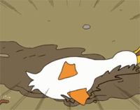 鸭子生活委屈不开心gif动图_动态图_表情包下载_soogif