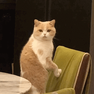 沙雕表情:出来喝酒啊