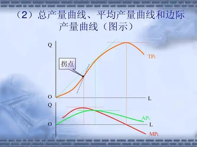 好好 (2)总产量曲线,平均产量曲线和边际 产量曲线(图示) q tpl 拐点