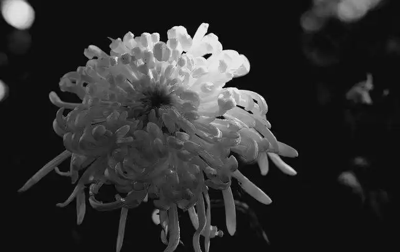 我们满怀哀思,悼念亡人