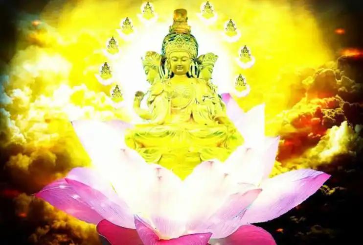 宏冕——我觉故我在