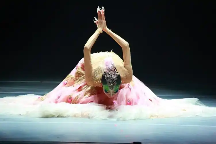 雀之灵一一舞蹈艺术家杨丽萍一