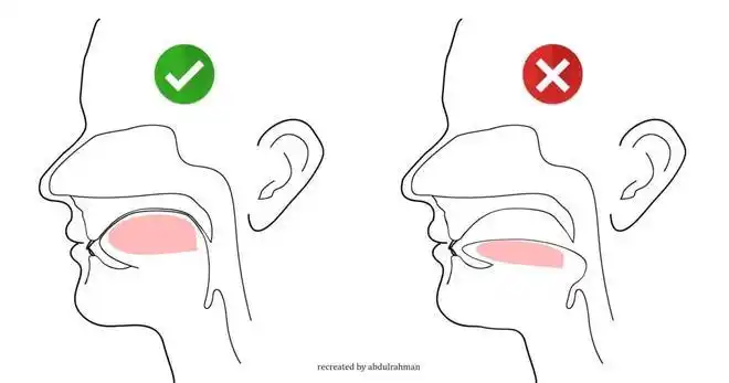 你的舌头其实是个x器官,而且它的用处不止这些|肌肉|牙齿|上颚_网易