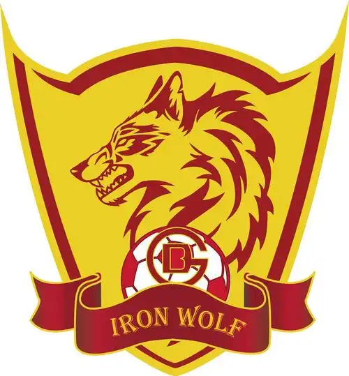 足球队队旗 旗帜,义务给单位设计的,也算个