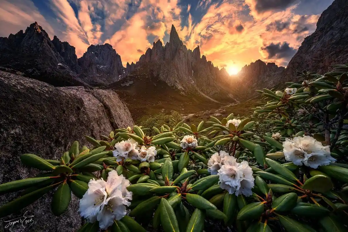 2022我拍的神仙级美景.#治愈系风景 #一起享受大自然的美 - 抖音