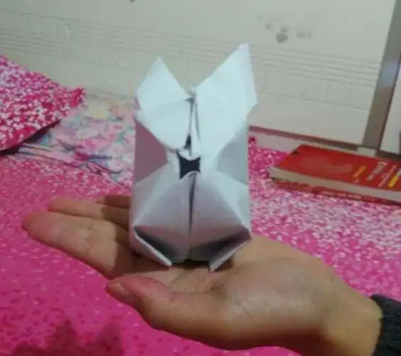 最后一步是吹气,然后兔子就鼓起来了完成.