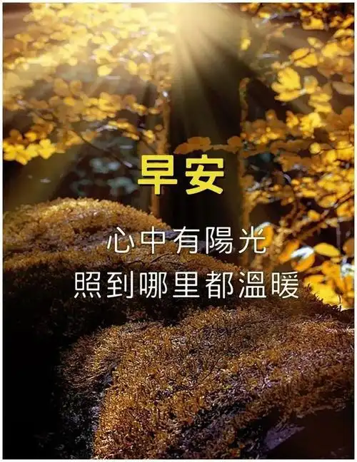 很漂亮的早上好祝福语表情图片早安充满阳光的正能量问候