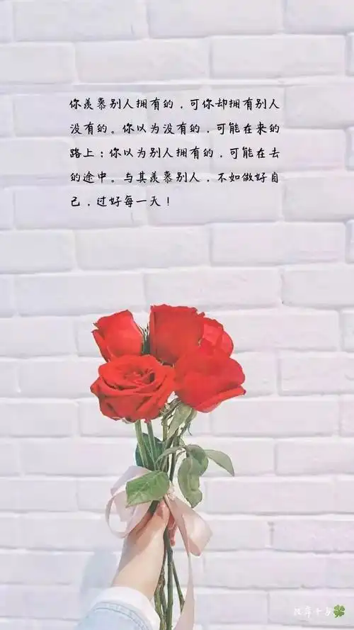 你羡慕别人的同时别人也在羡慕你,不羡慕别人的人生,才是所谓的幸福