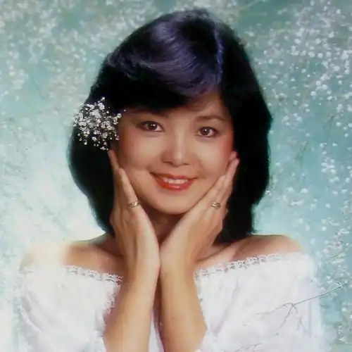 英文歌曲 轻音乐 dj舞曲 儿歌大全 不了情mp3免费下载 邓丽君-不了情