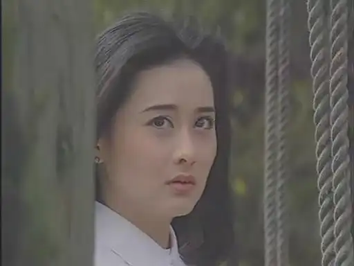 原来一帘幽梦中陈德容才心机萧蔷该同情