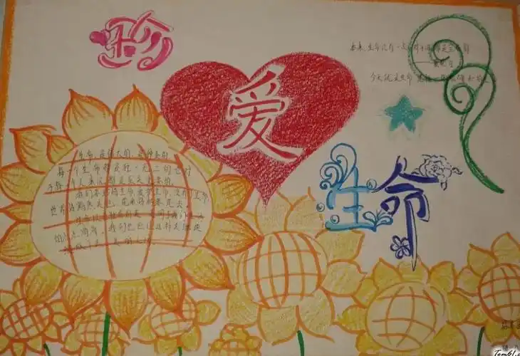 "敬畏生命,珍爱生命"班会 六.11班孩子的点滴感受 - 美篇