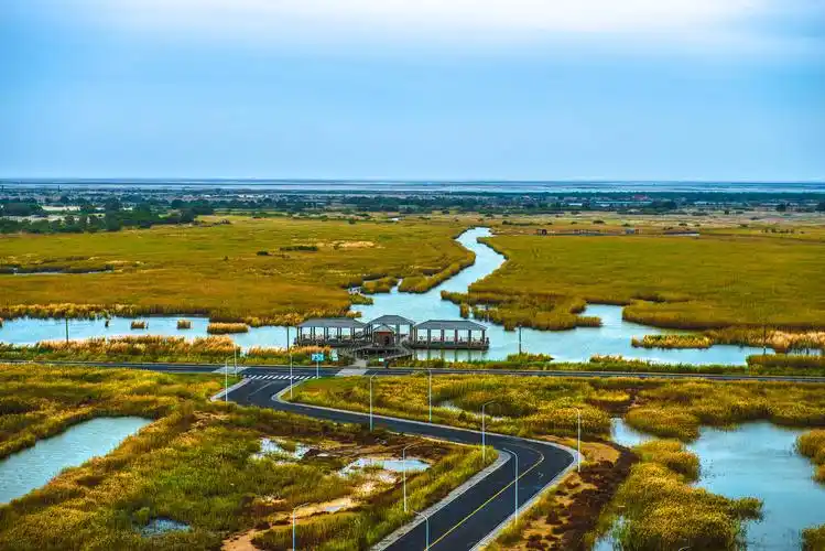 东营黄河口生态旅游区