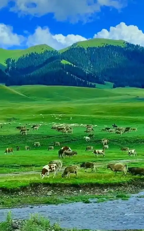 那拉提是全国六大最美草原之一,也是世界四大高山河谷草原之一, 被评