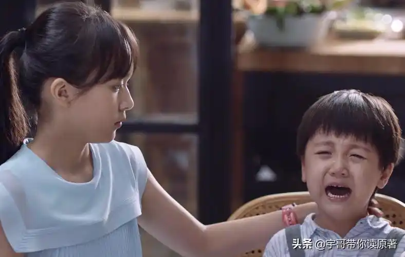 夏君山南俪分工协作