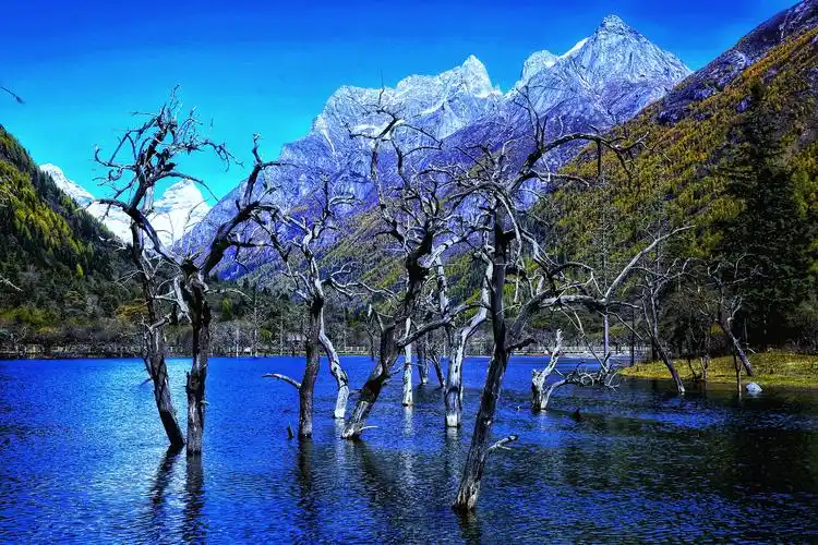 第257期 全国摄影艺术交流群作品展