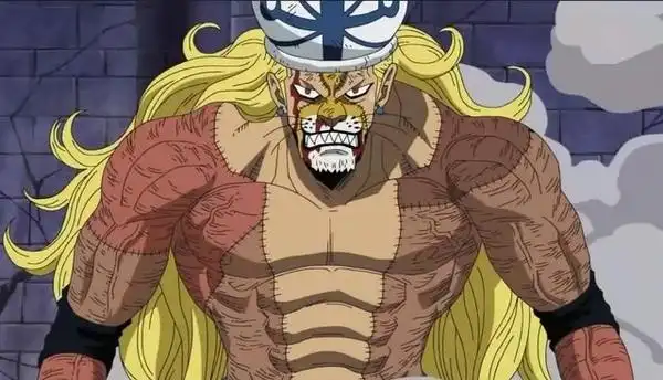 【粉多动漫】海贼王top10果实票选