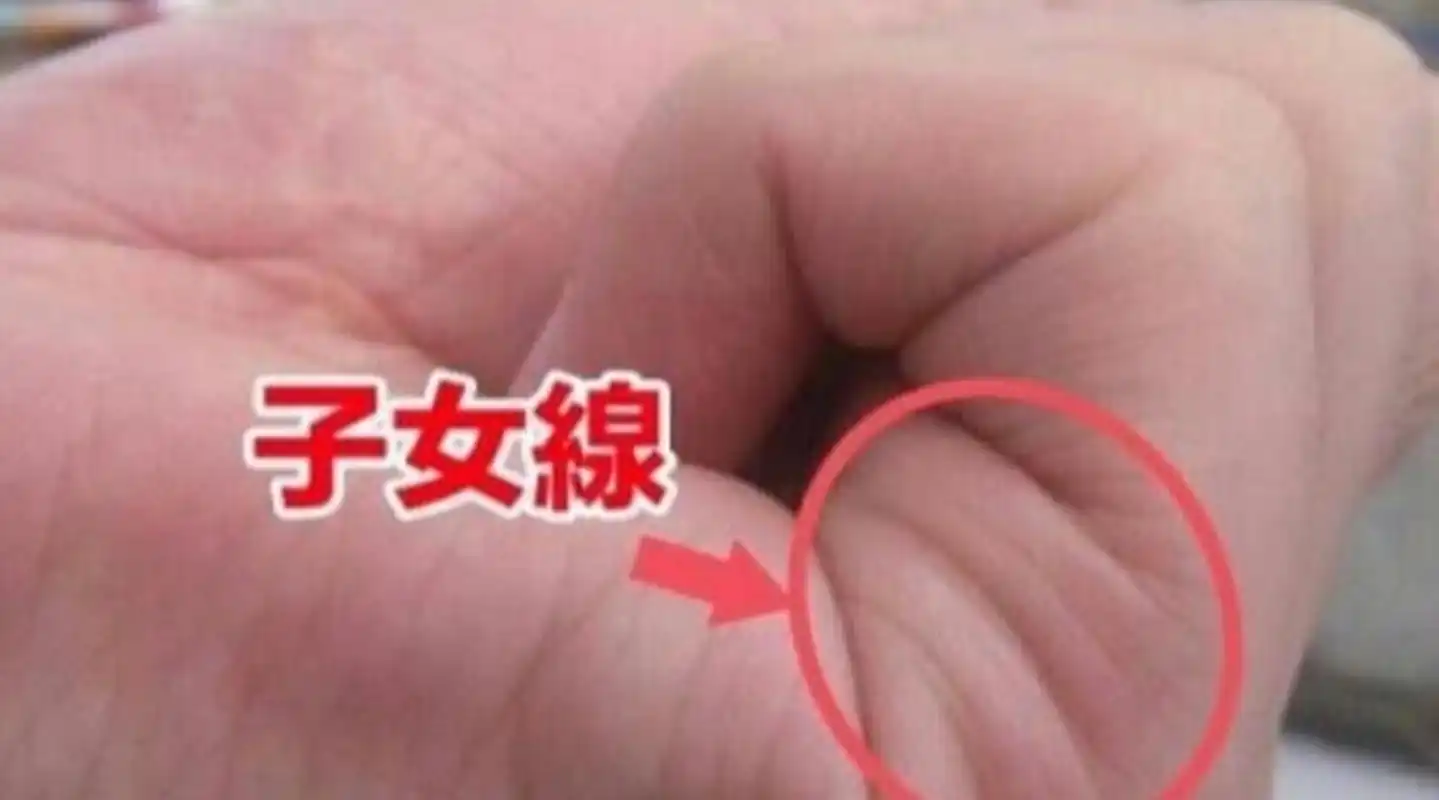 一般来说,子女线在女性手上会更为明显,而只有当一个男人深爱他的孩子