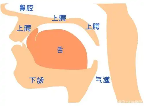 打坐,为什么要舌抵上腭?