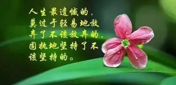 人生哲理经典语录鱼的人生哲理经典语录