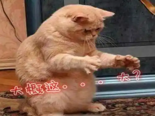 probably;maybe;perhaps大概的英语怎么说:大概这么大,大概,表示对