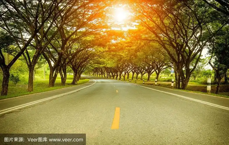 一条美丽的长路,路旁有高大的绿树,阳光照射的背景.