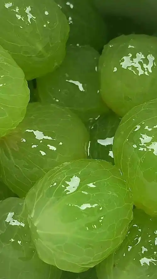 * 存点喜欢的绿色锁屏壁纸|壁纸|绿色_新浪新闻