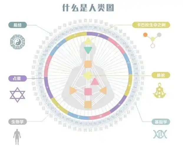 人类图系统应用课程