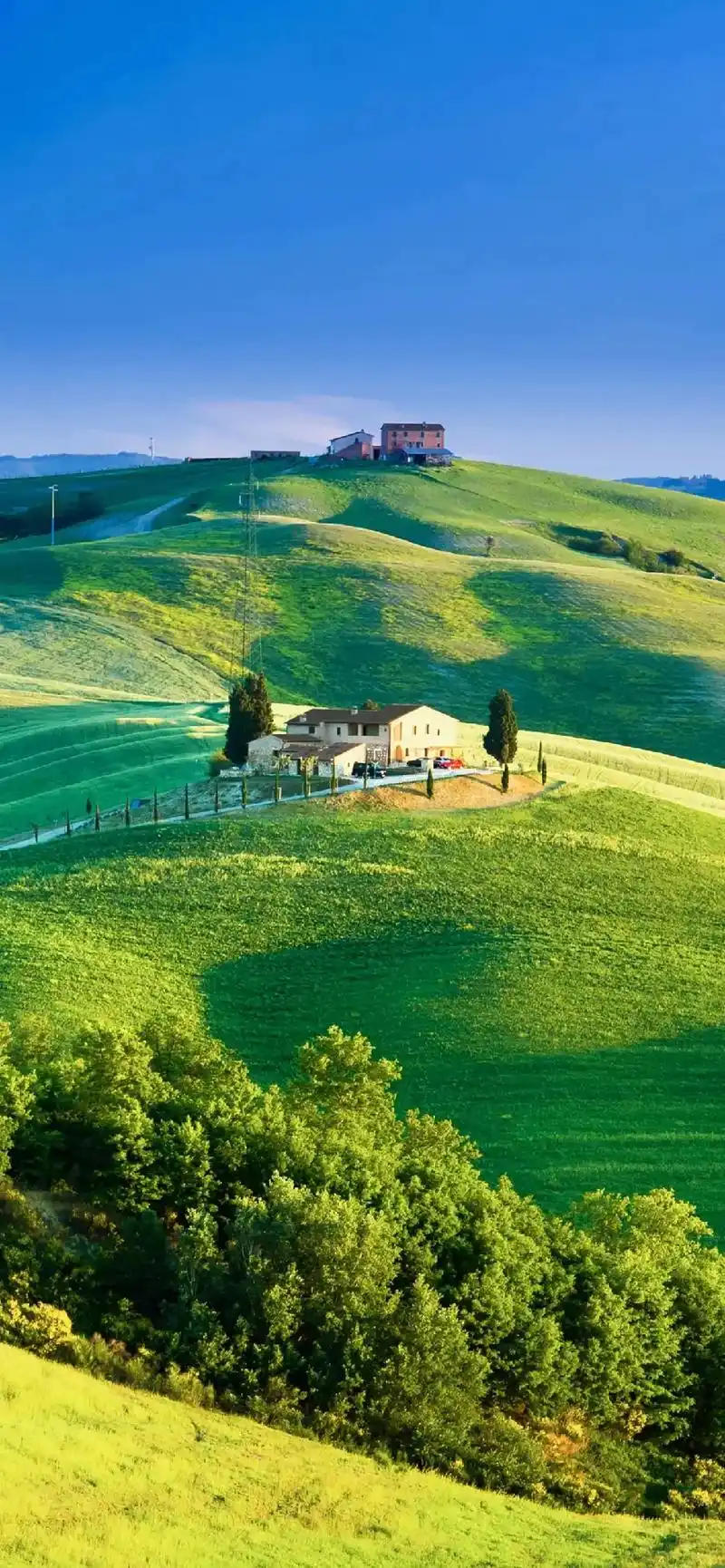 小清新护眼壁纸#手机壁纸  - 抖音